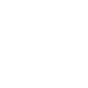 SW_Logo_White-1