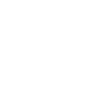 SW_Logo_White-1